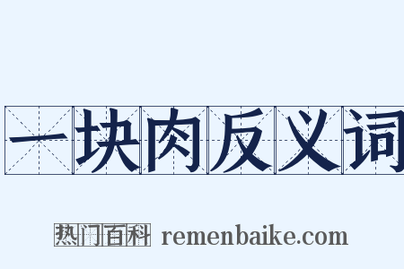 一块肉反义词是什么意思的图片